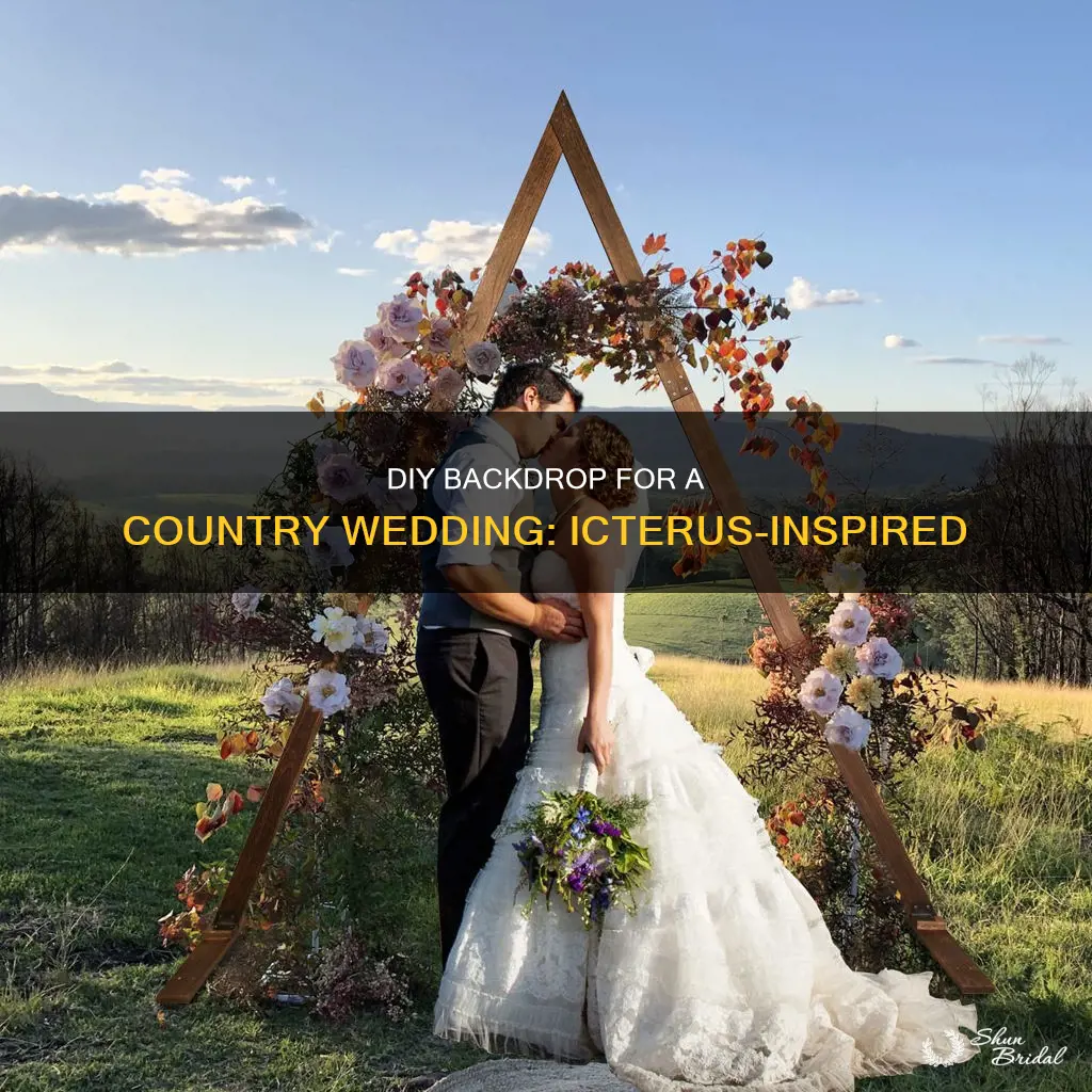 how to make a diy backdrop for country wedding icterus