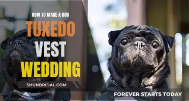 Crafting a Dapper Dog's Tuxedo Vest for Weddings