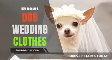 Designing Wedding Attire for Your Dog: A Step-by-Step Guide