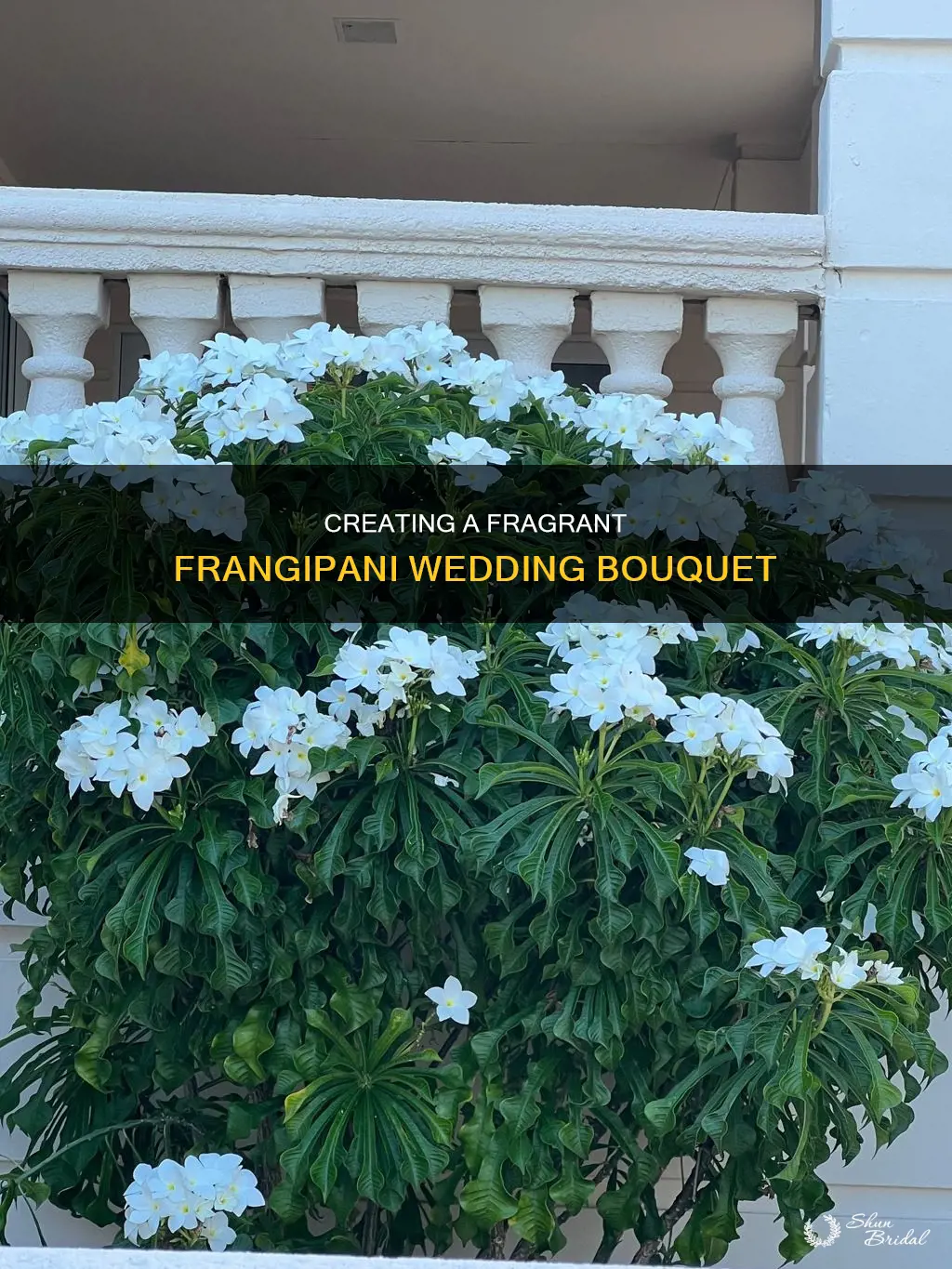 how to make a frangipani wedding bouquet