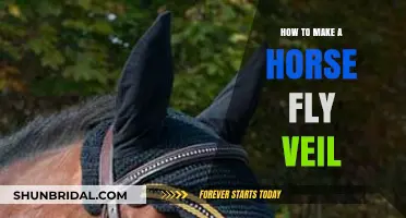 Crafting a DIY Horse Fly Veil: Simple Steps for Protection