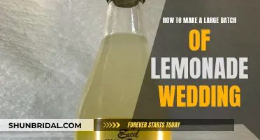 Lemonade Wedding: A Refreshing Batch for Your Big Day