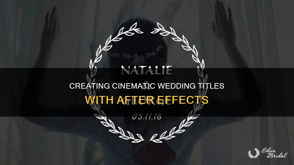 how to make a motion wedding title after effect