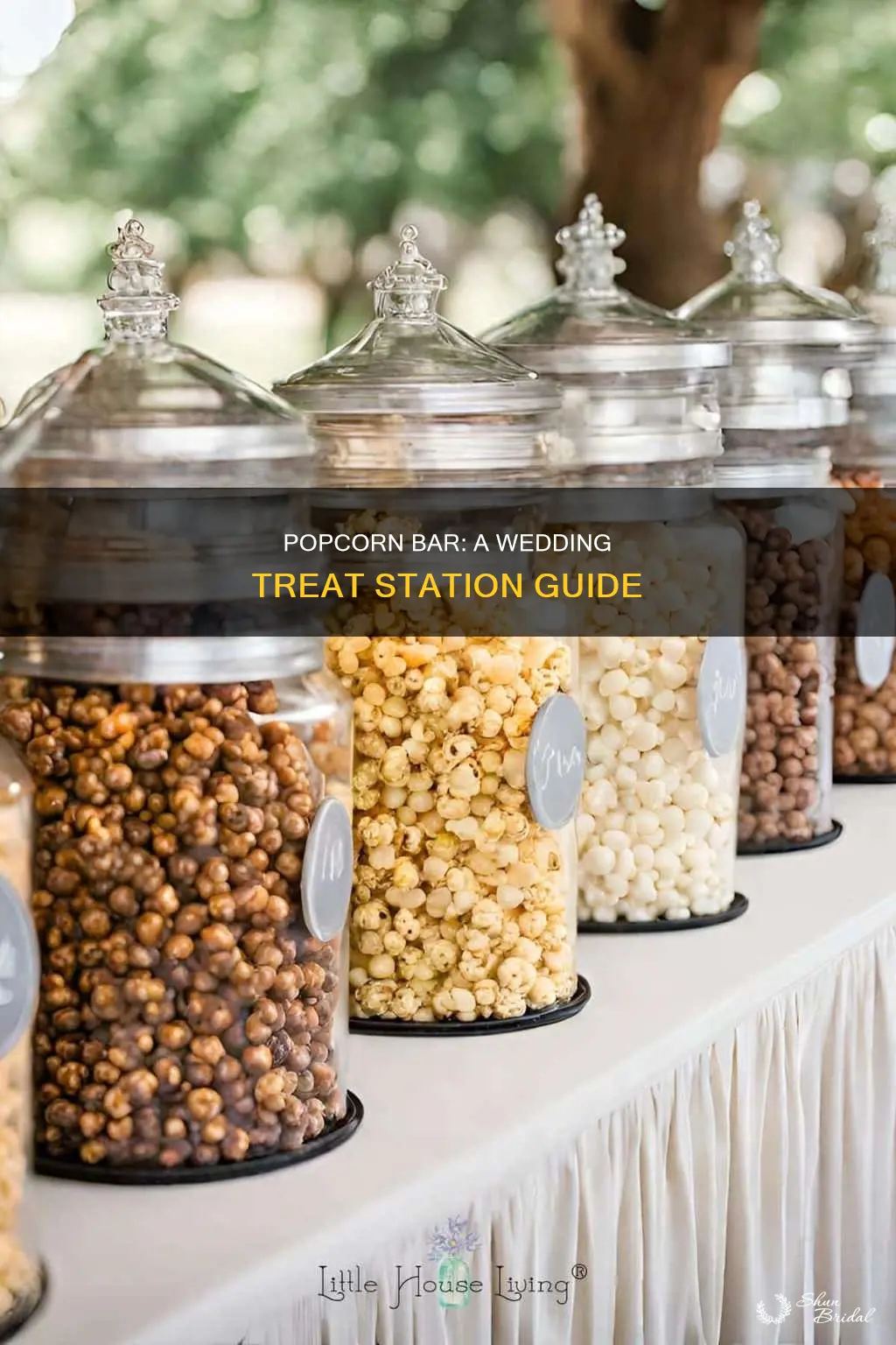 how to make a popcorn bar for wedding