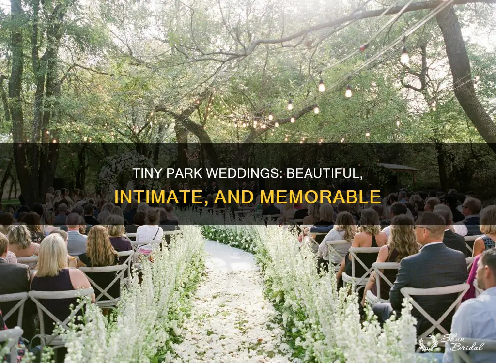 how to make a tiny park wedding beautiful