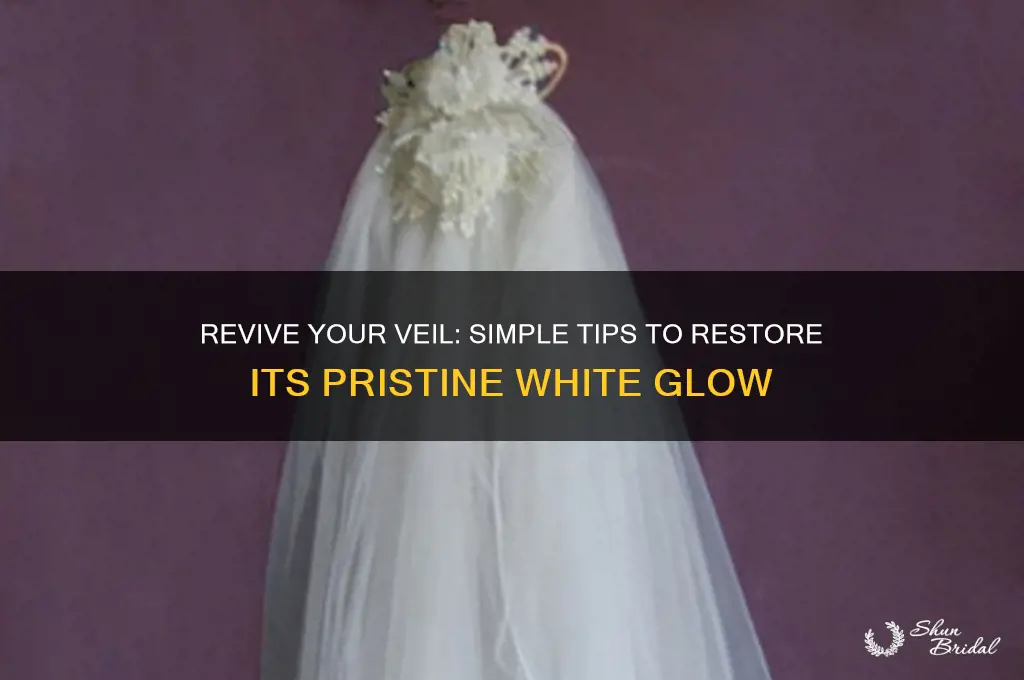 how to make a veil white again