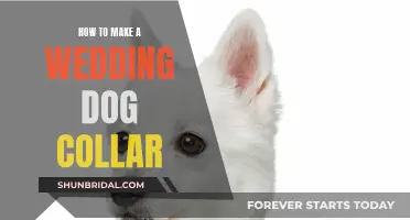 Crafting a Wedding Collar for Your Dog