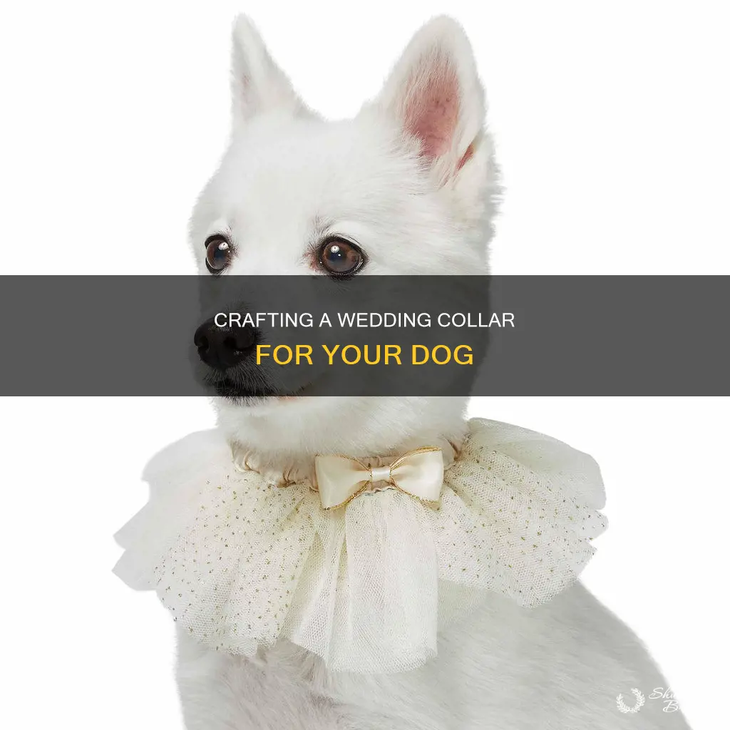 how to make a wedding dog collar