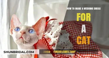 Sewing a Feline Wedding Dress: A Step-by-Step Guide