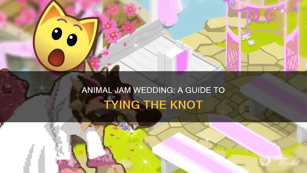 how to make a wedding in animal jam