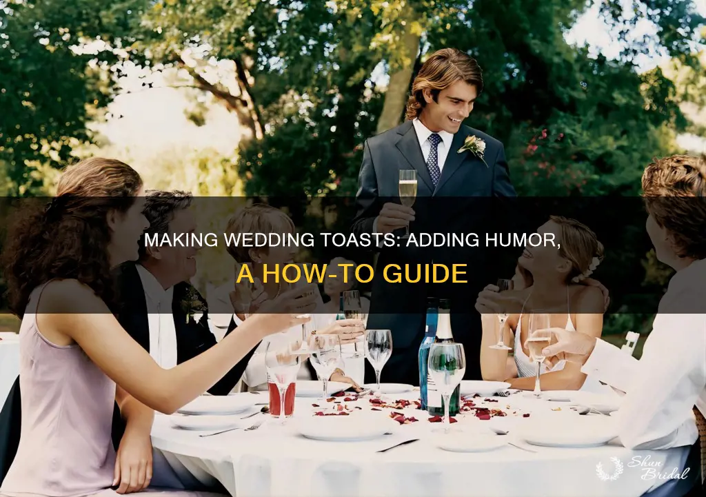 how to make a wedding toast funny