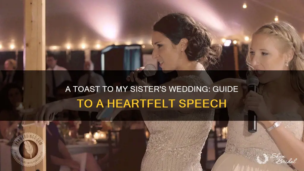 how to make a wedding toast to a sister