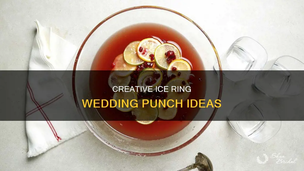 how to make an ice ring for wedding punch