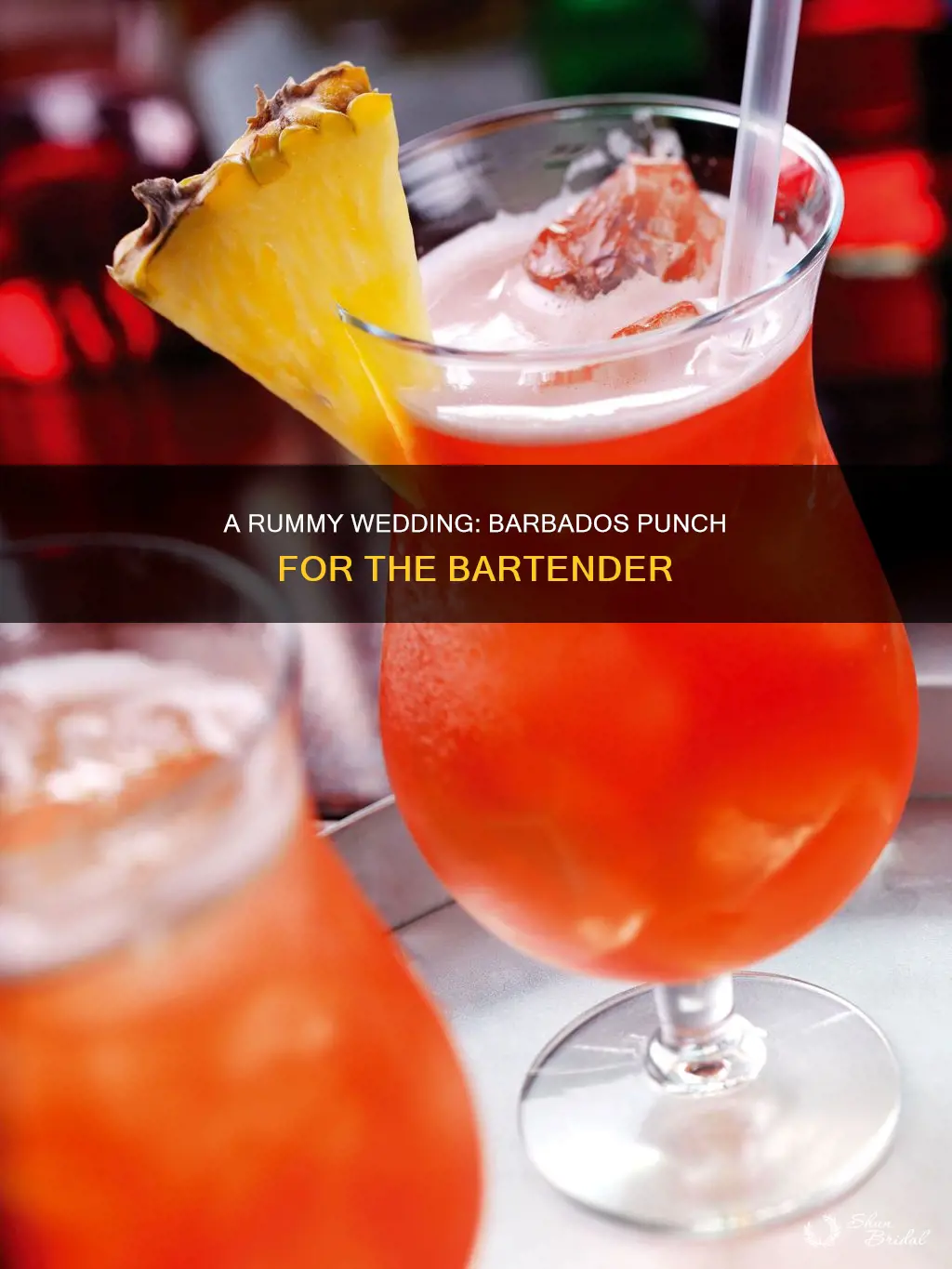 how to make barbados rum punch in bartender the wedding