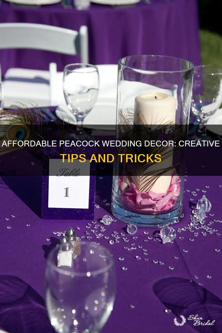 how to make cheap peacock wedding decorations