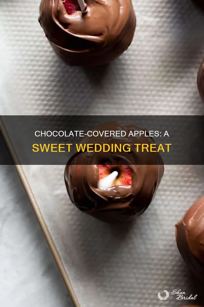 how to make chocolate covered apples for wedding