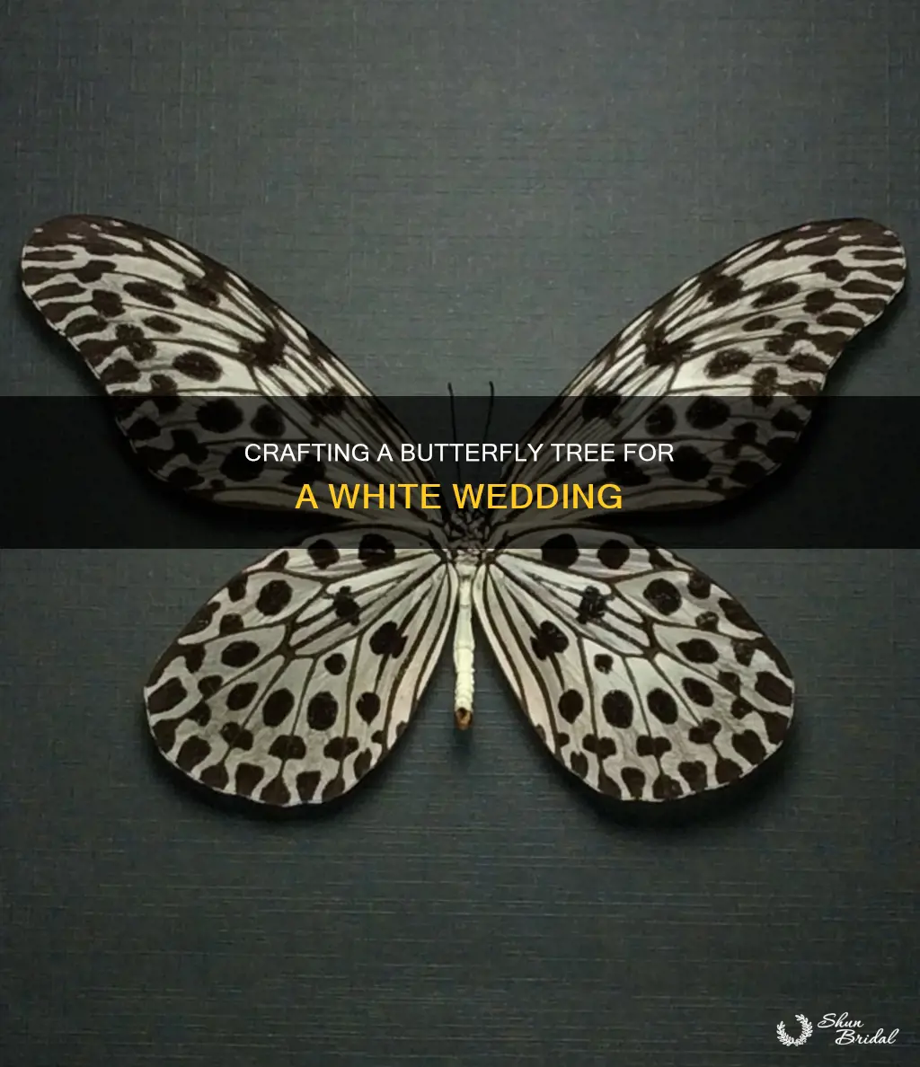 how to make diy butterfly tree white wedding