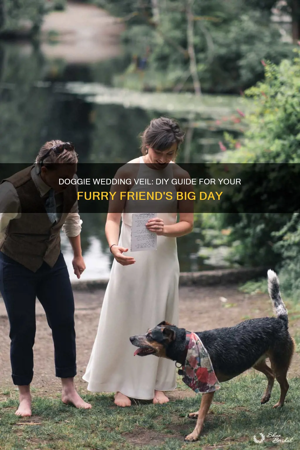 how to make doggie wedding veil