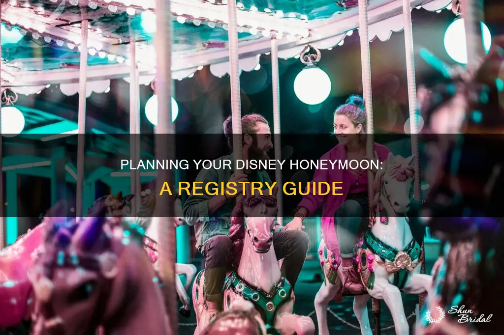 how to make honeymoon registry for disney trip