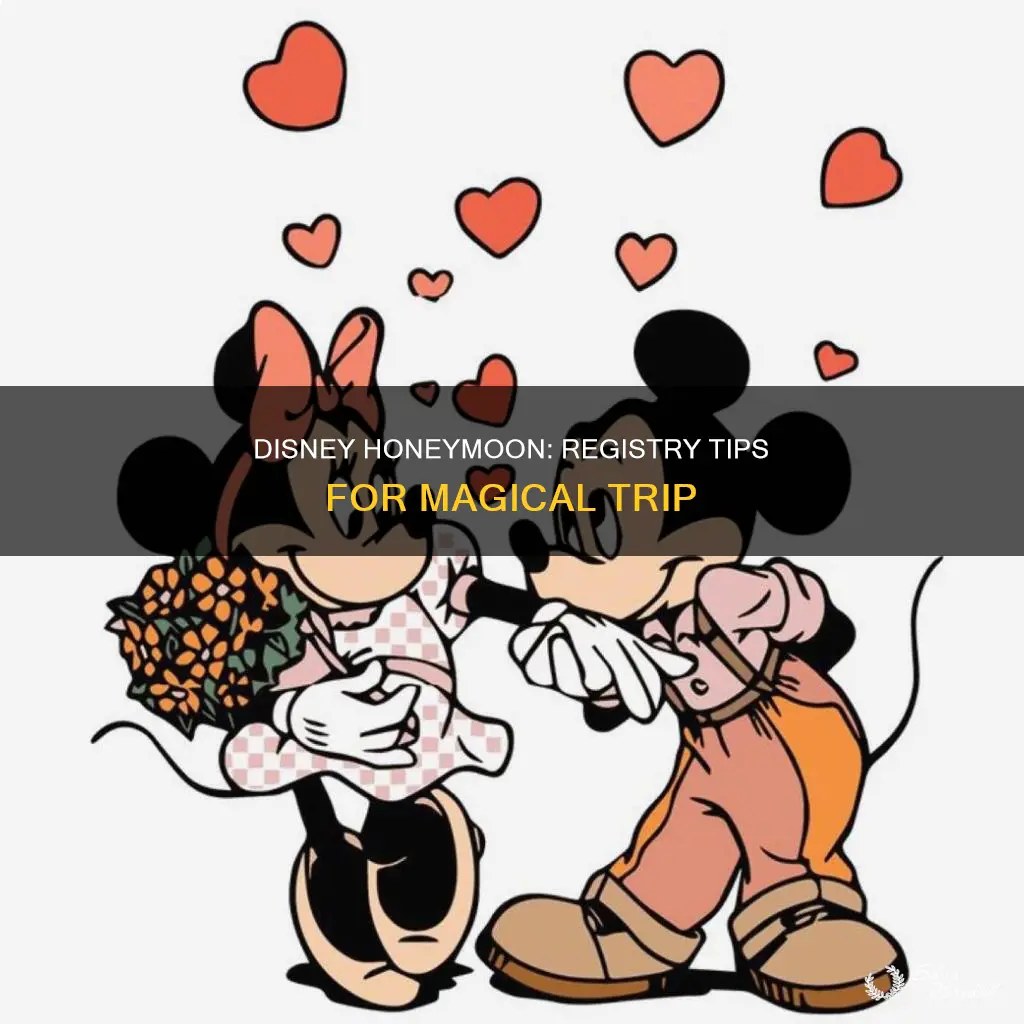 how to make honeymoon registry for disney trip