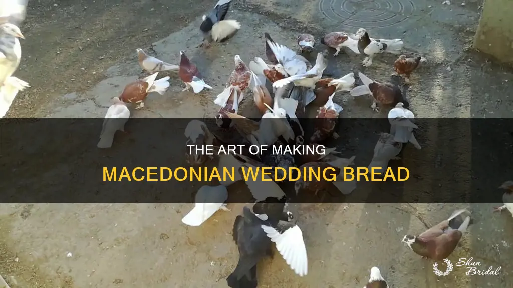 how to make macedonian wedding bread