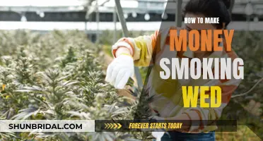 Make Money Smoking Weed: Tips and Tricks