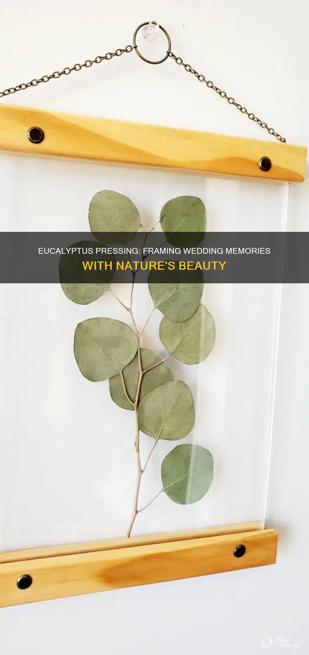 how to make pressed eucalyptus in frame with wedding agenda