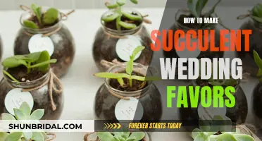 Creative Succulent Wedding Favors: A Step-by-Step Guide