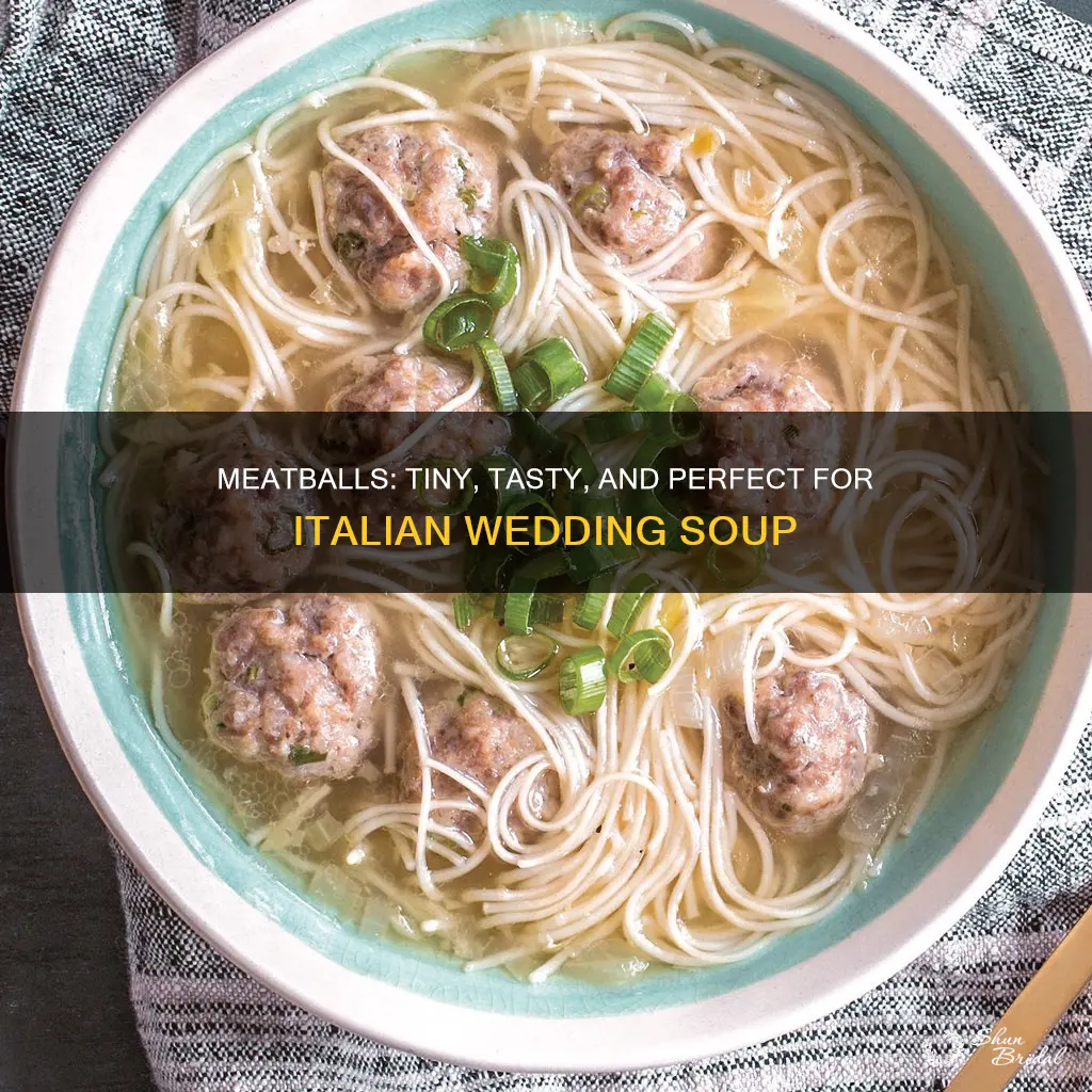 how to make tiny meatballs for italian wedding soup