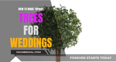 Creating Topiary Trees: A Wedding DIY Guide