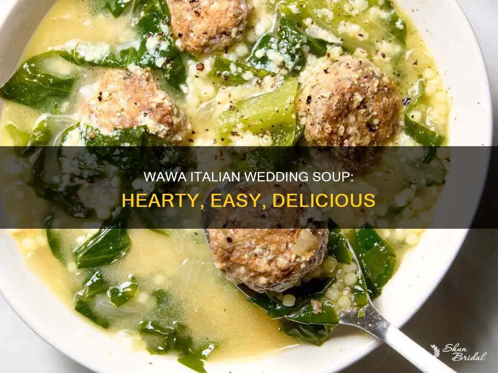 how to make wawa italian wedding soup