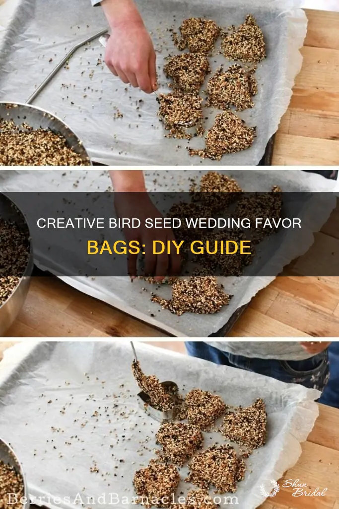 how to make wedding bird seed bags