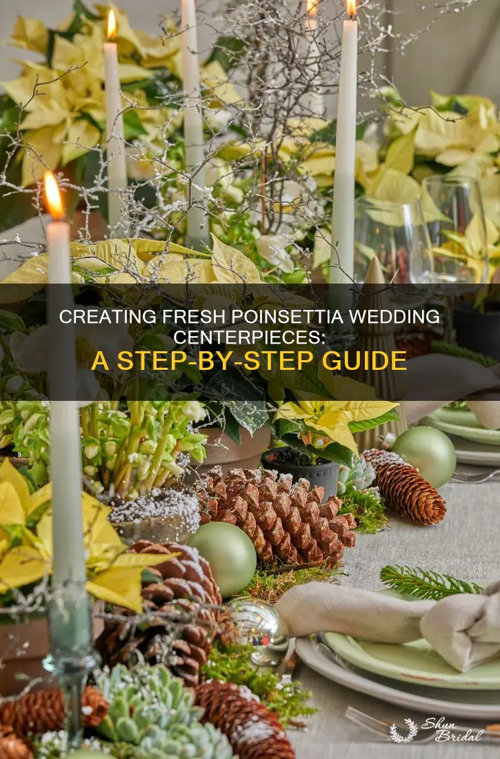 how to make wedding centerpiece with fresh poinsettias