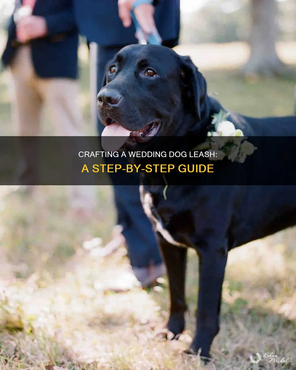 how to make wedding dog leash