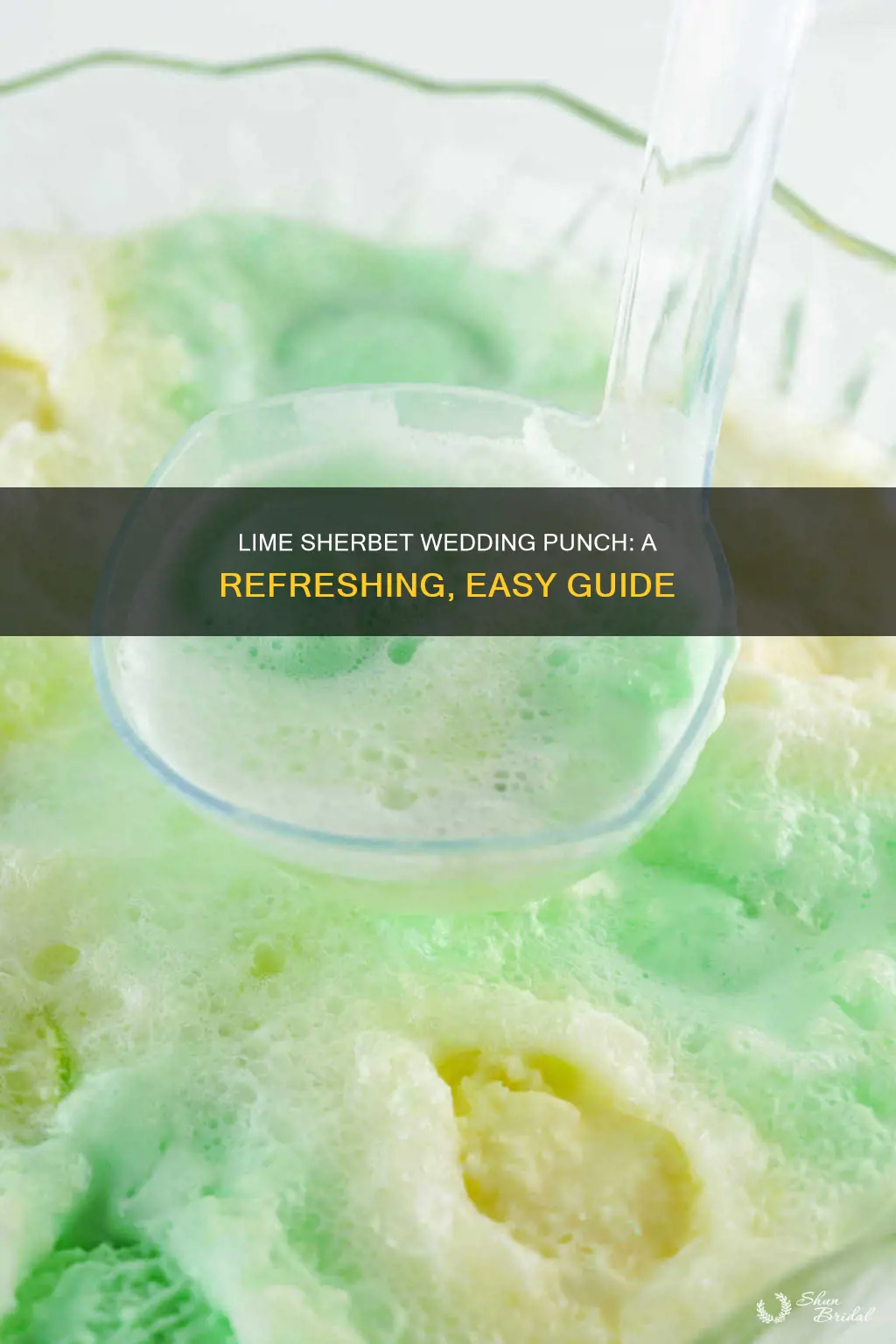 how to make wedding punch lime sherbet