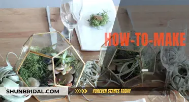 Creating Wedding Terrariums: A Step-by-Step Guide