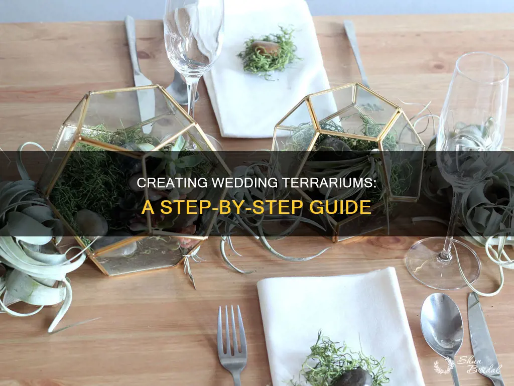 how-to-make-wedding-terrariums _