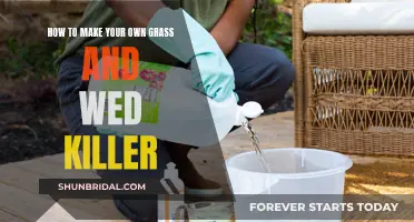 Natural Weed and Grass Killer: DIY Guide