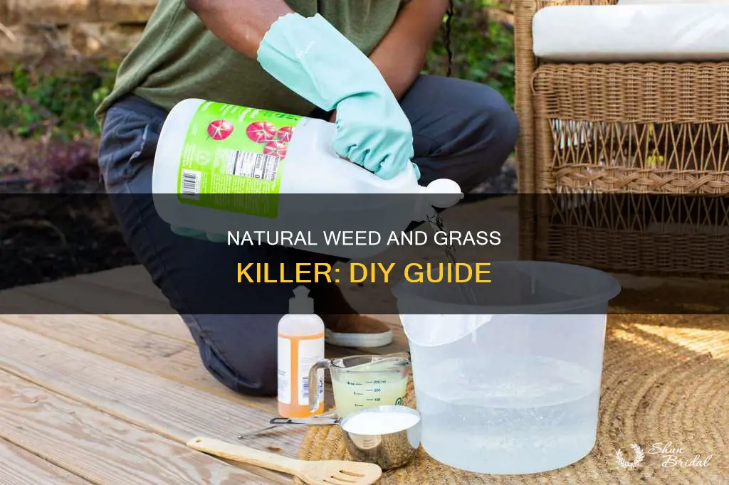 how to make your own grass and wed killer