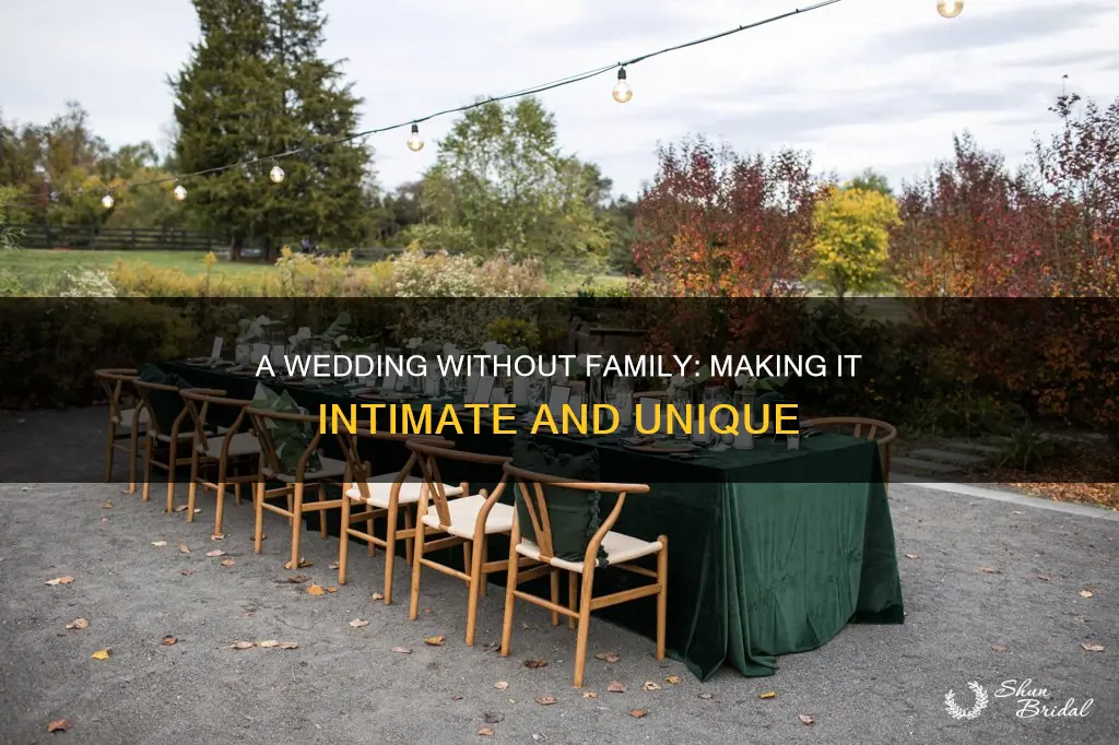 how to make your wedding special without family