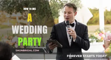 Mastering the Mic: Your Guide to MC-ing a Wedding Party
