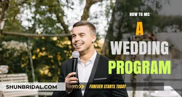 Mastering the Mic: Your Guide to MC-ing a Wedding Program