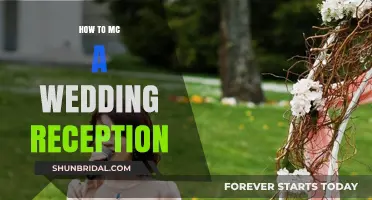 The Ultimate Guide to MC'ing a Wedding Reception