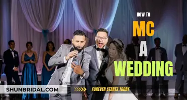 A Guide to MC'ing a Wedding: Tips and Tricks
