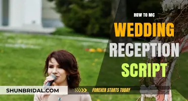Scripting Your Wedding Reception: A Guide for MCs