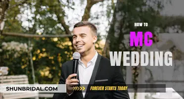 Mastering the Mic: Your Ultimate Guide to MC-ing a Wedding