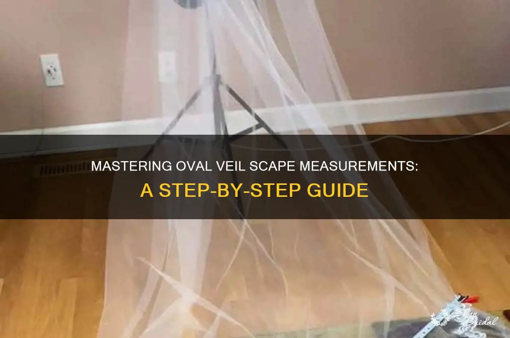 how to measure an oval veil sca