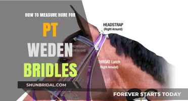 Measuring Horse Heads for Perfectly Fitted Swedish Bridles