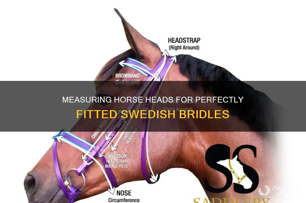 how to measure hore for pt weden bridles