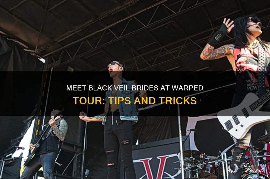 how to meet black veil brides at warped tour
